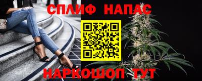 стафф Малоярославец